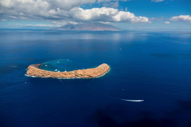 A Beginner’s Guide to Snorkeling in Hawaiʻi (+12 easy snorkeling spots)