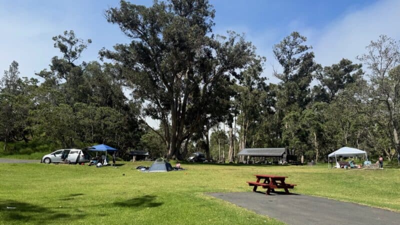 Tents and cars on the lawn at Nāmakanipaio campground under tall eucalyptus trees, with picnic tables