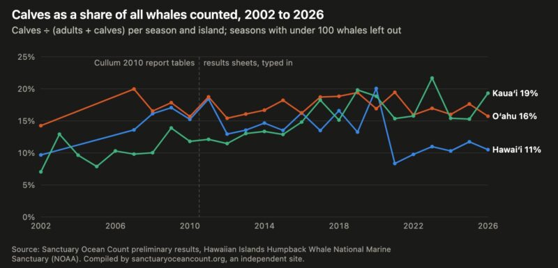 Line chart of the calf share per season on Hawaiʻi Island, Oʻahu and Kauaʻi, 2002 to 2026; every line stays between about 7 and 22 percent with no trend.