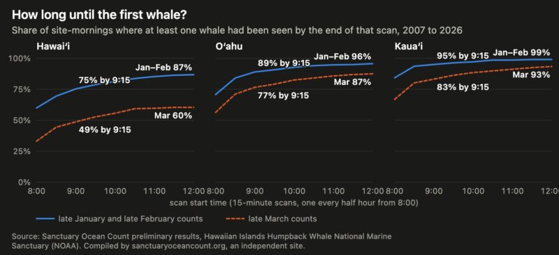 Three line charts: the share of count mornings with a whale rises fastest on Kauaʻi and slowest on Hawaiʻi Island; the March lines sit lower.