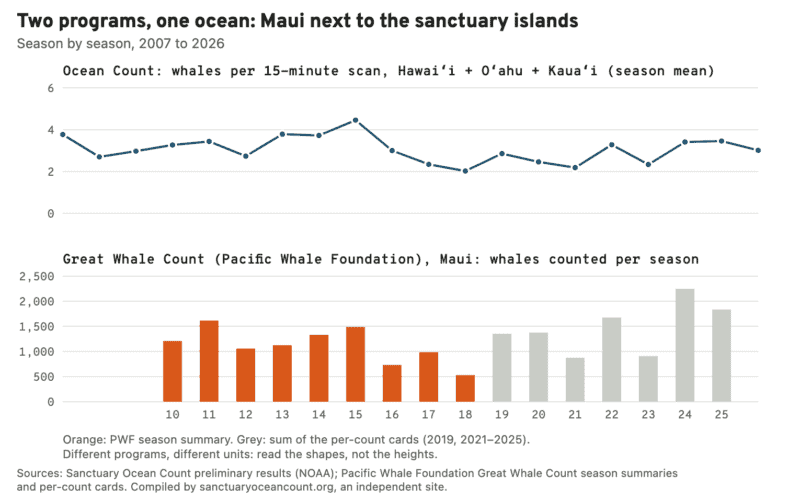 Two charts one above the other, 2007 to 2026: sanctuary islands' whales per scan, then Maui's Great Whale Count totals; both dip in 2018 to 2021.
