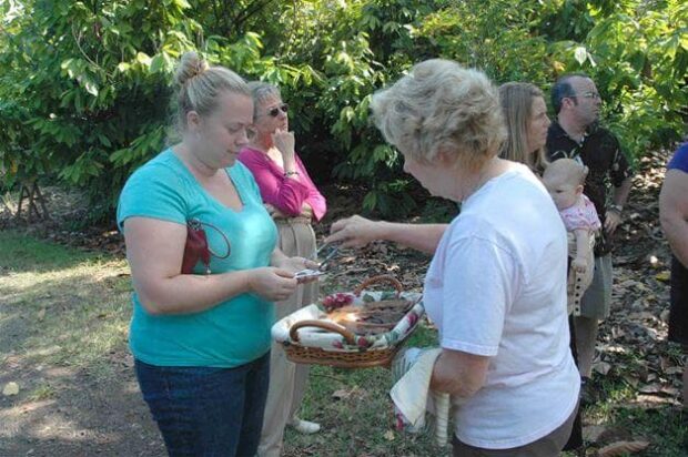 Two tour visitors receive chocolate samples from a guide during the tasting at Original Hawaiian Chocolate Factory, South Kona