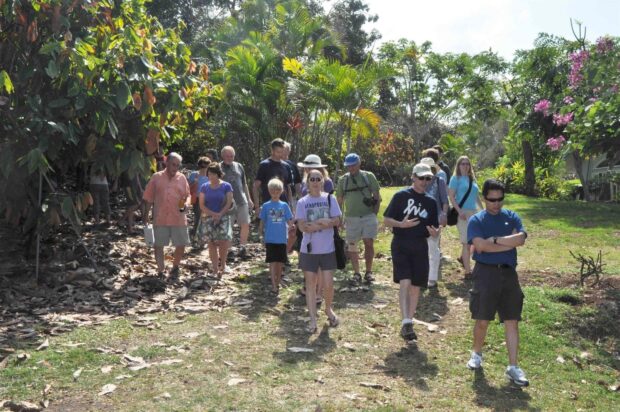 A small tour group walks through the shaded cacao orchard at the Original Hawaiian Chocolate Factory in Keauhou, South Kona