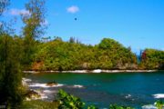 Onomea Scenic Drive