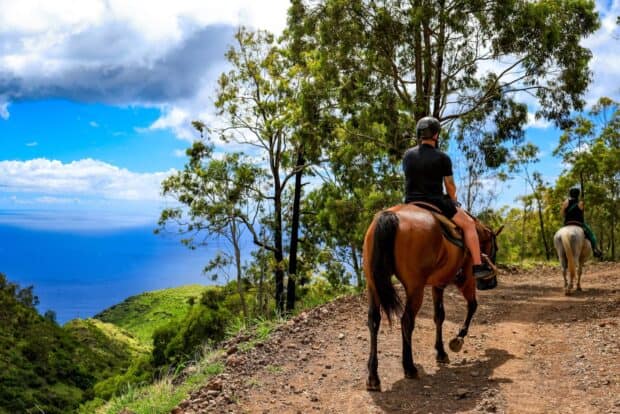 Rider on a bay horse on a ridgeline dirt trail with the ocean far below at Pālehua, West Oʻahu