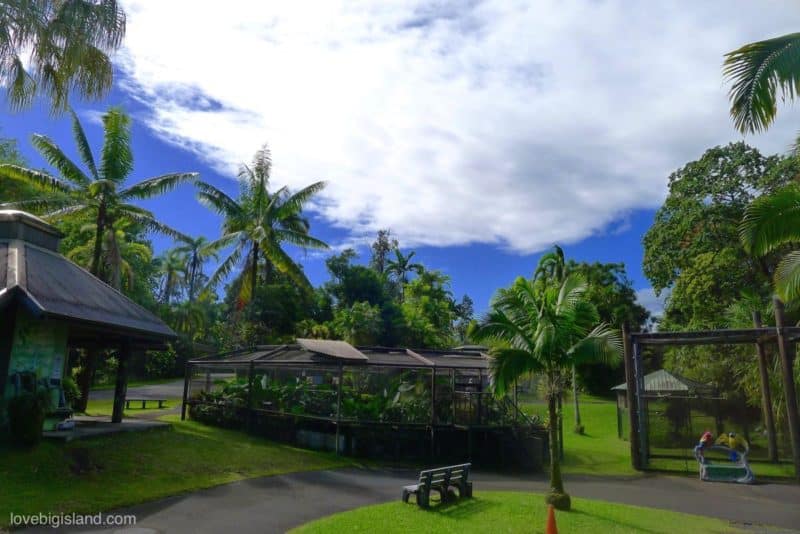 panaewa rainforest zoo, hilo, hawaii