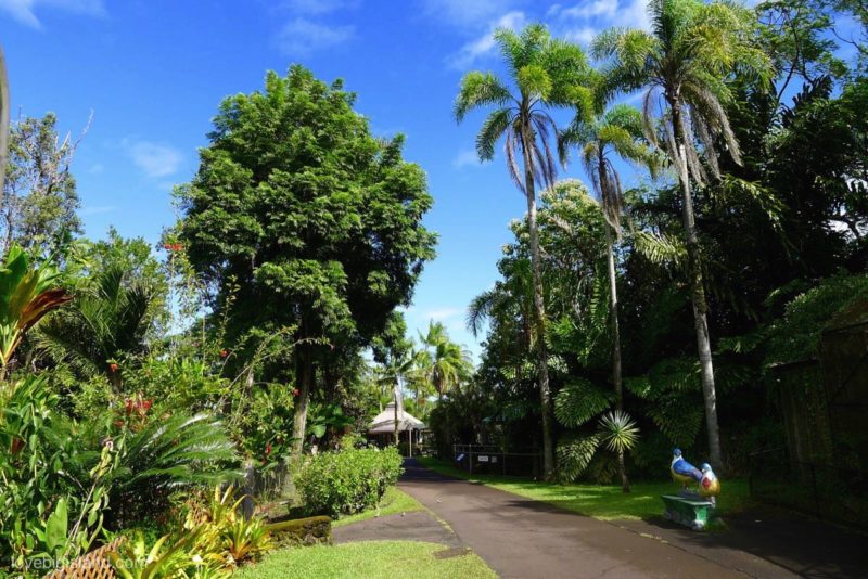 Best Botanical Gardens On The Big Island Hawai I List Map