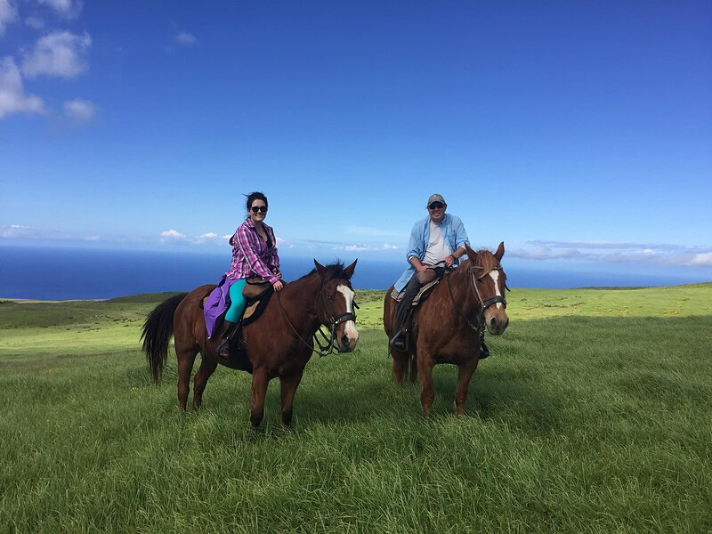 Two or three riders spread across open pasture in last light, silhouette-style