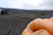 Pele's hair