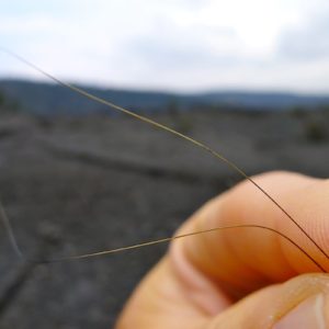 Pele's hair