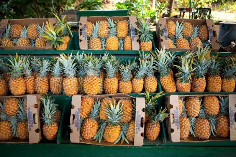  Maui pineapple for sale at a roadside stand 