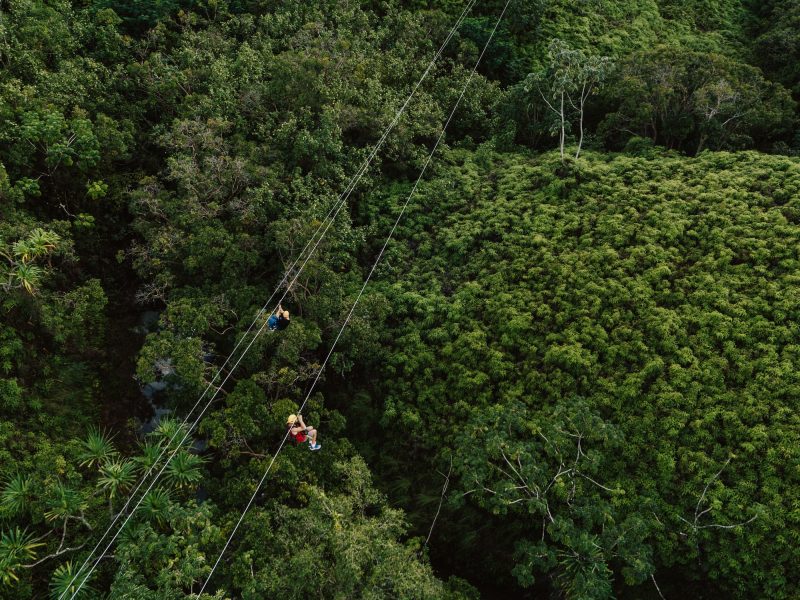 People ziplining at the Princeville Ranch, Kauaʻ