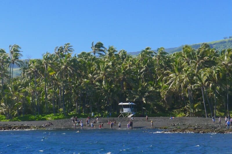 Black sand shoreline at Punaluʻu backed by a dense coconut grove, with a lifeguard tower and people at the water