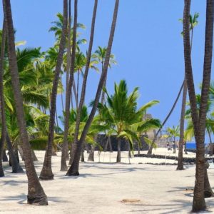 Pu'uhonua o Honaunau National Park on the Big Island of Hawaii