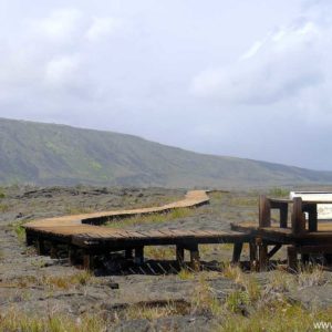 Pu'u Loa petroglyph boardwalk