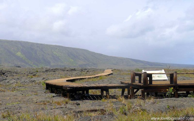 Pu'u Loa petroglyph boardwalk