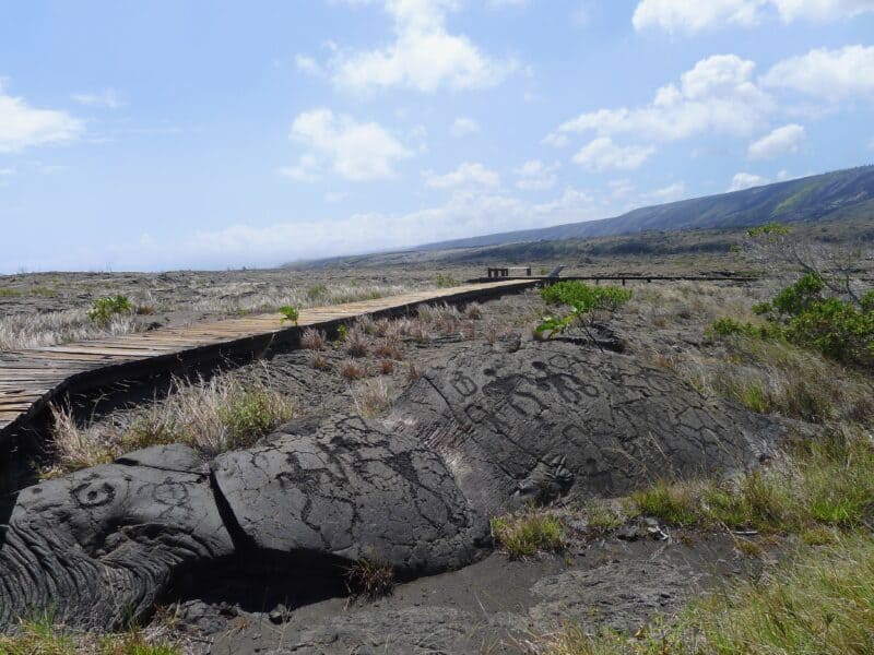 Petroglyphs carved into pāhoehoe lava beside the Puʻu Loa boardwalk, with the pali on the horizon