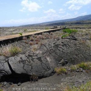 Petroglyphs on Hawaii