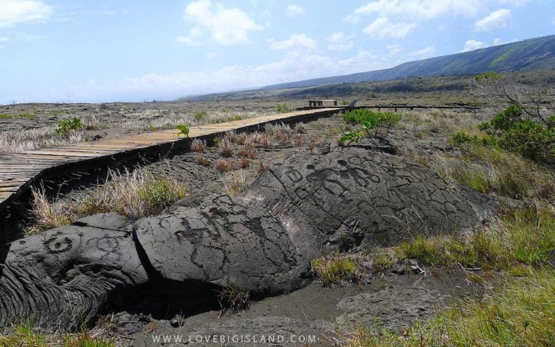 Petroglyphs on Hawaii