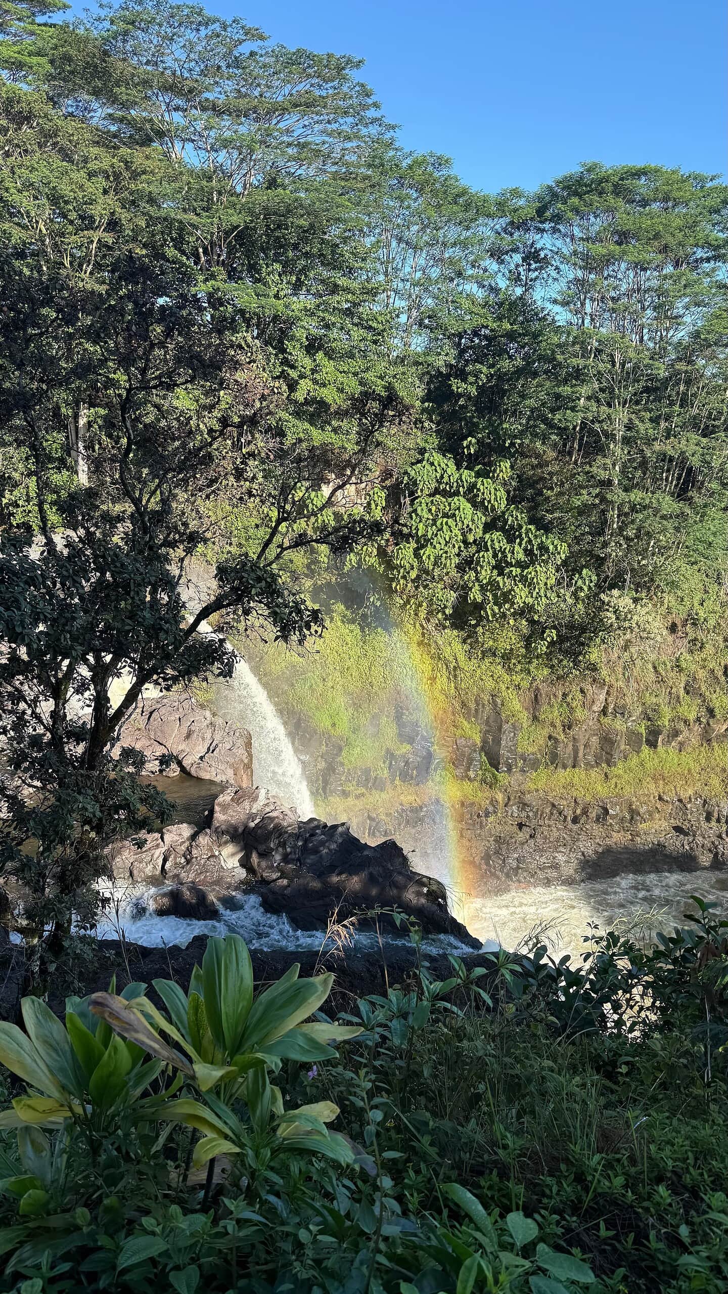 Rainbow Falls In Hilo Entry Fees Hours Rainbow Tips Rainbow Falls In Hilo Entry Fees Hours Rainbow Tips