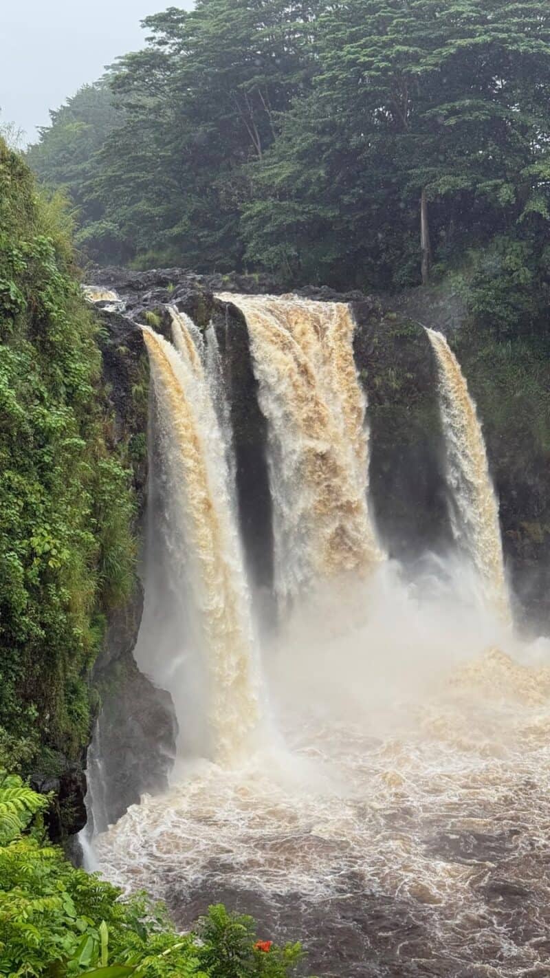 Close view of Rainbow Falls in flood, brown storm runoff filling the width of the 80 ft drop