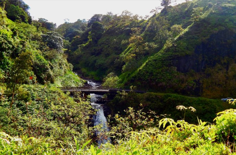 One-lane bridge and waterfall on the road to Hana