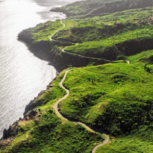 aerial shot of the lush and green road to haha on Maui