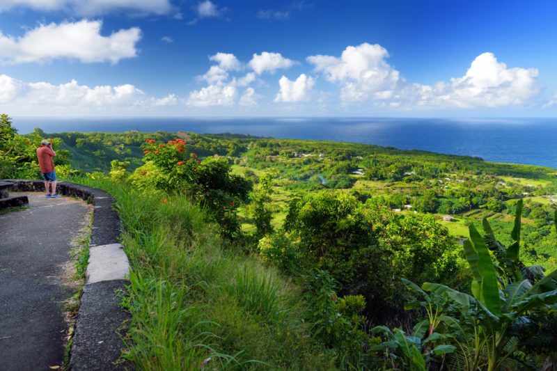Scenic views on the Hana highway (Maui)