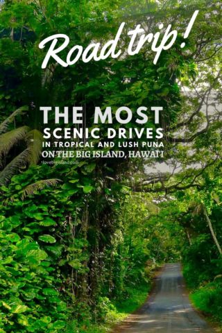 road trip, scenic drive, red road, puna, hawaii, big island