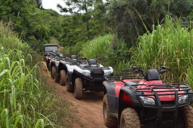 Line of parked ATVs and a UTV on a dirt trail flanked by tall green grass on the Maui ranch