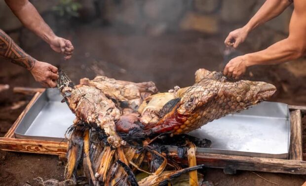 Unveiling the imu-roasted pig wrapped in leaves at the Royal Kona Luau.