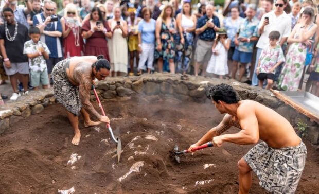 Cultural practitioners uncover the imu pit as guests gather to watch at the Royal Kona Luau.