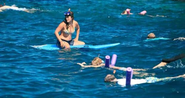 Snorkeling gear and floatation devices are provided. Image: Holoholo Charters.