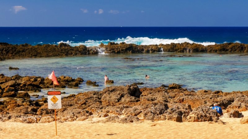 People snorkeling at shark cove on Oahu