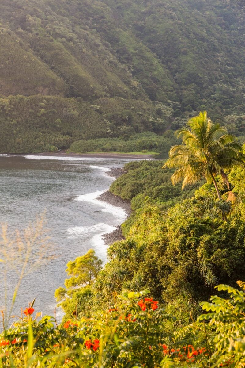 in the mountainside along the Road to Hana on Maui