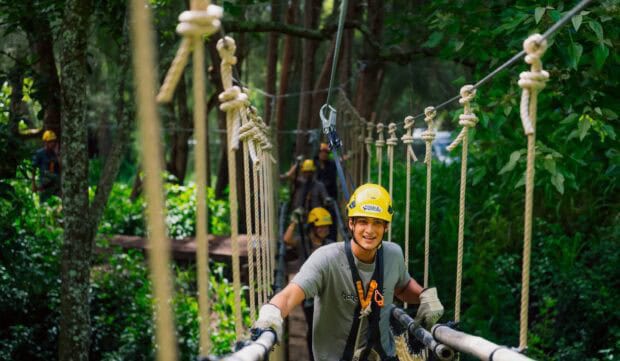 Smiling young man in a yellow helmet on a canopy ropes course element strung with vertical ropes