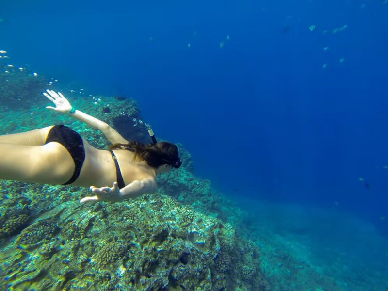 The waters off Lehua and Niihau are considered some of the best in all of Hawaii and are known to offer over 100 feet of visibility on some days. Image: Holoholo Charters.