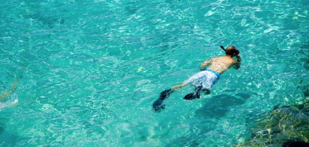 Snorkeler exploring a coral reef at a shore-entry beach on the Kona coast