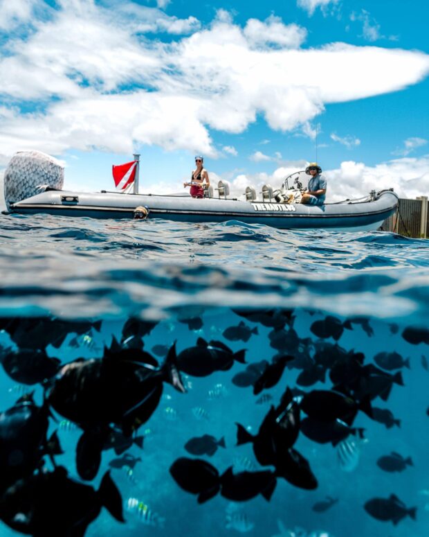 half-water half-sky image of people on boat and fish underwater