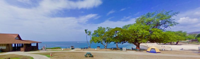 spencer beach park, whale watching, big island, hawaii