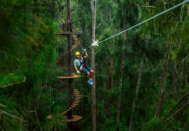 Wooden spiral staircase wrapping a tree trunk with a zipline rider crossing in tall rainforest