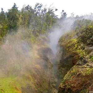 Steam vents