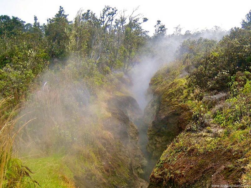 Steam vents