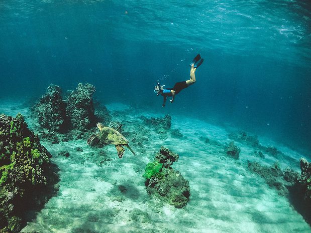 Summer is the best season for snorkeling on Maui because the waters are calm and clear. Photo by Subtle Cinematics on Unsplash