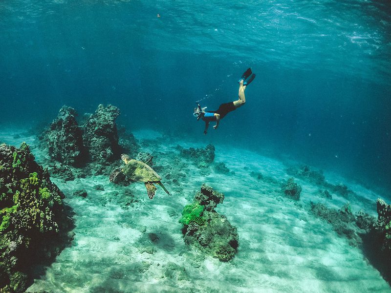 Summer is the best season for snorkeling on Maui because the waters are calm and clear. Photo by Subtle Cinematics on Unsplash 