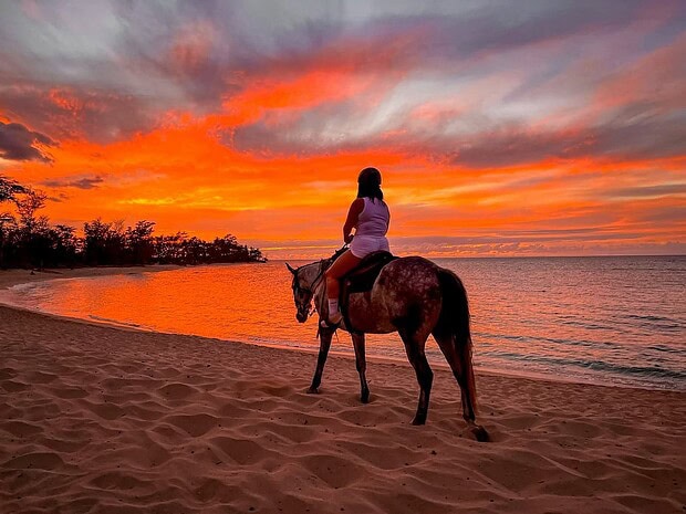 Horseback rider on Mokuleia Beach at sunset, North Shore Oʻahu, Hawaii Polo Oceanfront Trail Rides