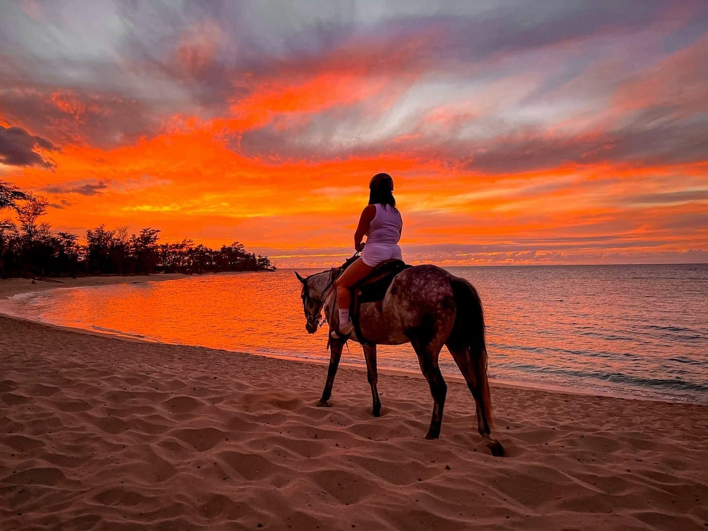 Sunset Horseback Ride on Oʻahu’s North Shore
