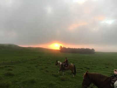 Paniolo Adventures Horseback Riding (1 - 2.5 hours, $135)