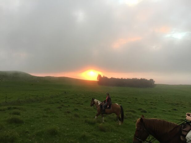 rider on horseback in open pasture, warm golden light, coast visible
