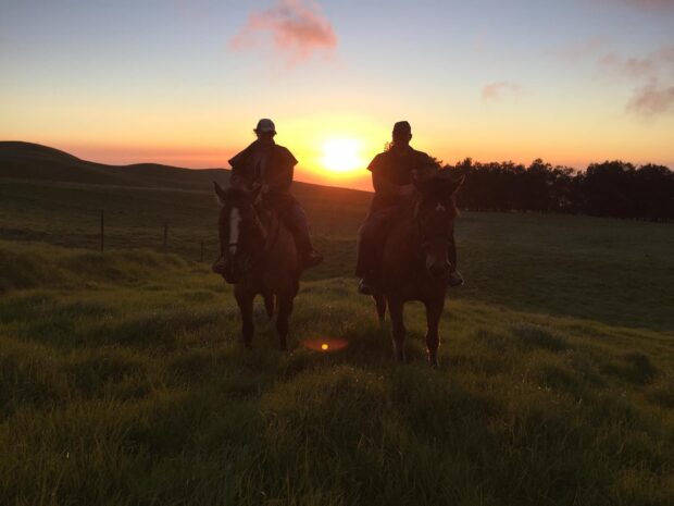 rider on horseback in open pasture, warm golden light, coast visible